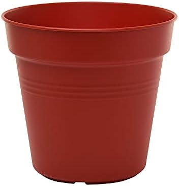 Mintra Home Garden Pots 4pk - Flowers, Herbs, Plants, Indoor, Outdoor, Colorful, Wholesale, Bulk (Burgundy, 19cm Diameter (7.5in))