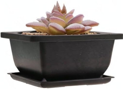8PCS/Pack Retro Style Square Small Bonsai Training Pots with Tray, Mini Plastic Mocha Garden Flower Pot 4.7"