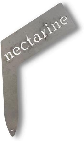 Planter Size Small Metal Garden Plant Vegetable Flower or Herb Markers 13.5 Inches Tall (nectarine, Raw, Unfinished Steel)