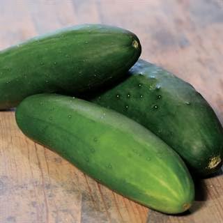 Park Seed Variety of Cucumber Seeds, Planting Cucumbers, Vegetable Seeds, Easy to Grow, Non-GMO, Perfect for Harvesting, Whopper II Hybrid, Pack of 250