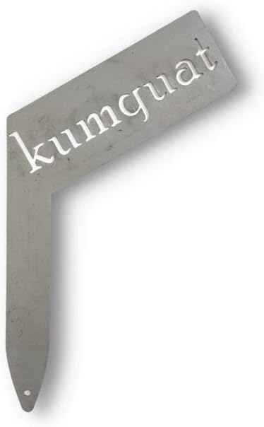 Planter Size Small Metal Garden Plant Vegetable Flower or Herb Markers 13.5 Inches Tall (kumquat, Raw, Unfinished Steel)