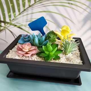 6 Packs Bonsai Training Pots with Trays 6.3 Inch Nursery Pots with Drainage Plastic Bonsai, Come with 12pcs Plant Labels, Rectangle Bonsai Flower Growing for Home Garden, Yard, Balcony, Office (s)