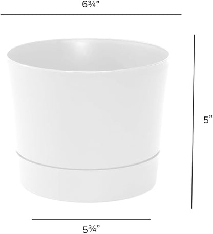 Root & Vessel Majestic Mid-Century Modern Low Profile Cylinder Pot, Matte White, 6.5"