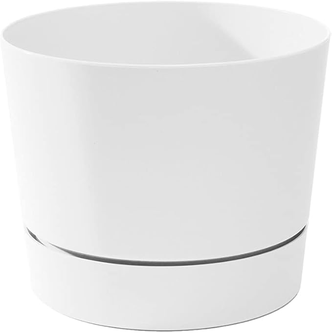Root & Vessel Majestic Mid-Century Modern Low Profile Cylinder Pot, Matte White, 12.5"