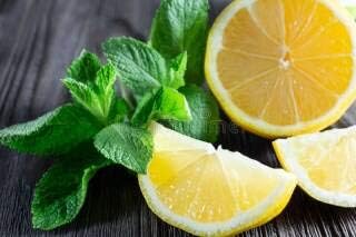 Seeds Lemon Balm Melissa Herbs Heirloom for Planting Non GMO