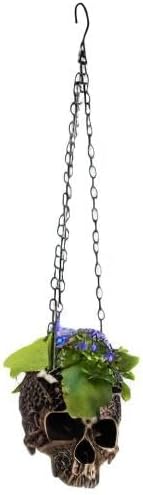 Hanging Skull Planter Pot with Chain and Hook Gothic Skeleton Candy Bowl Trick or Treat Bucket Spooky Skull Flower Pot Creepy Horror Home Decor Outdoor Indoor Garden Decoration 6 Inch Bronze Planter
