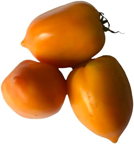 Goldfish Tomato Seeds (Solanum lycopersicum) 150 Seeds (0.5 Grams)