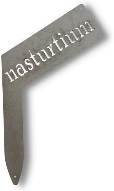 Planter Size Small Metal Garden Plant Vegetable Flower or Herb Markers 13.5 Inches Tall (nasturtium, Raw, Unfinished Steel)