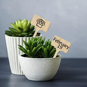 50Pcs Bamboo Plant Labels with A Marker Pen T-Type Wooden Plant Sign Tags Garden Markers for Seed Potted Herbs Flowers Vegetables 2.3 x 4 inch (50)