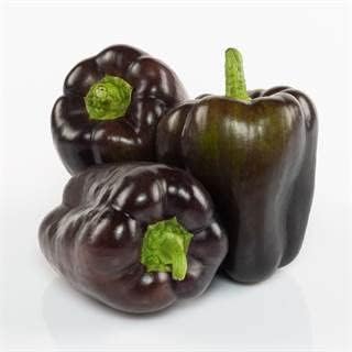 Park Seed Sweet Pepper Vegatable Plant Seeds, Easy to Grow, Spring Garden, Dragonfly, Pack of 15