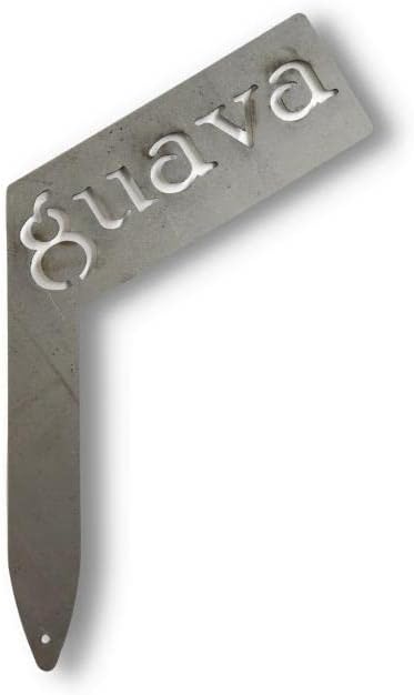 Planter Size Small Metal Garden Plant Vegetable Flower or Herb Markers 13.5 Inches Tall (guava, Raw, Unfinished Steel)