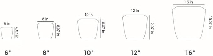 The HC Companies 8 Inch Aria Square Self Watering Planter - Plastic Plant Pot for Indoor Outdoor Plants Flowers Herbs, Glossy Green