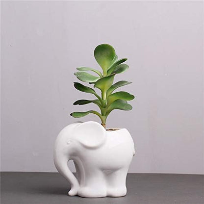 Cute Animal Elephant Shaped Ceramic Succulent Cactus Air Plant Flower Pots Planters-Plant Not Included (4＂White)