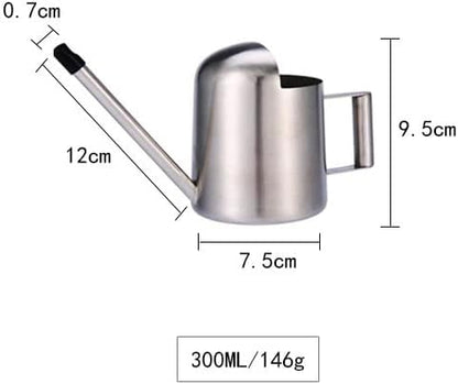Watering Cans, 10oz/300ml Stainless Steel Long Spout Small Watering Sprinkling Pot, Indoor Outdoor Garden Flower Succulents Plant Watering Cans, Stylish Gardening Decoration(Silver)