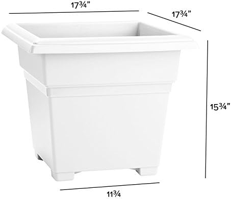 Novelty Root & Vessel Countryside Square Tub Planter, White, 18-Inch