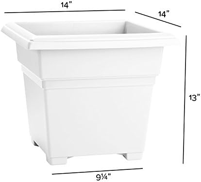 Root & Vessel Countryside Square Tub Planter, White, 14-Inch