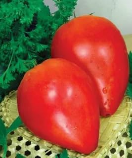 Seeds Red Beefsteak Tomato Giant Bulls Heart Determinate Non GMO Vegetable for Planting