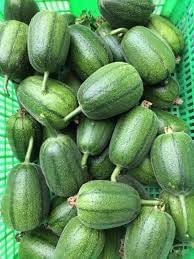 2 Bags Seeds mướp tròn Mỹ Nhân Apple LUFFA F1 Rare蘋果絲瓜 Very Sweet Giòn Ngot Round Giống lạ đẹp mắt sai trái high Yield 10 Taiwan Hybrid Seeds Very Sweet can be Eaten raw; Fast spout Productive