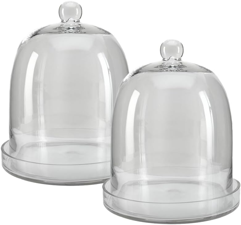 Serene Spaces Living Glass Cloche, Ideal as a Terrarium, Great to Hold Airplants, Flower Blooms, Accessories, Photos, Candles, Dessert Display, Home, Office Decor, 11" Diameter & 13" Tall, Set of 2