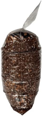 Peace Lily Imperial Houseplant Potting Soil Mix by rePotme - Junior Bag (4 Quarts)