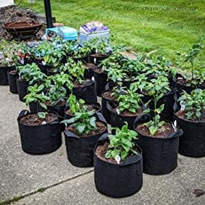 CZ Grain 10 Heavy Duty Nursery Grow Bags - Great for Growing Trees, Bushes, Vegetable Plants or Flowers - Indoor or Outdoor Grow Containers 5,10, or 20 Gallon (5 Gallon)