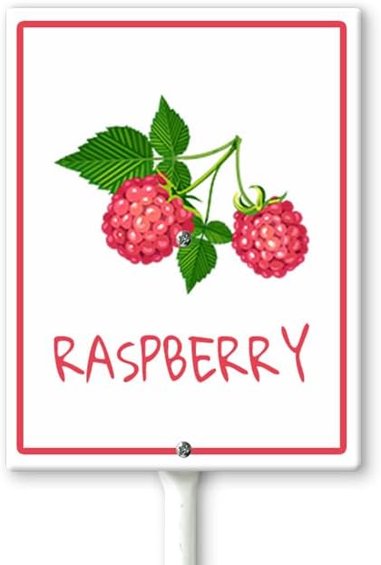 Raspberry Marker Yard Sign with Stakes 8in×12in, Aluminum Garden Signs, Garden Plant Markers Garden Potted Plants Labels for Vegetable Flowers Funny Garden Stakes Decorations