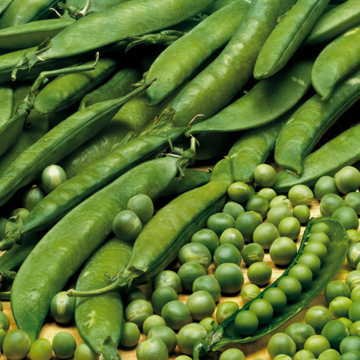 Park Seed Lincoln Pea Seeds, 1 Pack of 160 Seeds