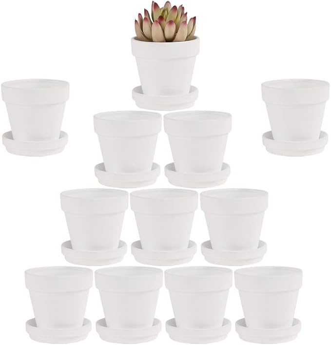 Yishang White Terra Cotta Pots with Saucer- 12-Pack Large Terracotta Pot Clay Pots 3'' Clay Ceramic Pottery Planter Cactus Flower Pots Succulent Pot with Drainage Hole