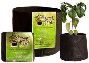 Multi-Purpose Container Grower, Black Fabric, 2-Gallons