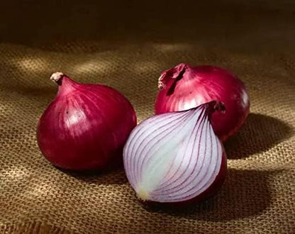 Seeds Red Baron Onion Non GMO Vegetable for Planting