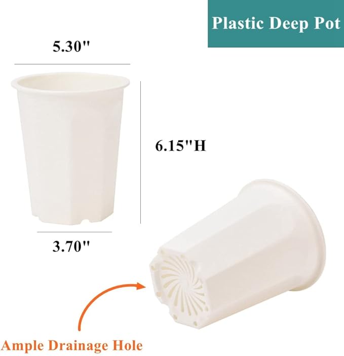 BangQiao 10 Pack 5.30 Inch White Plastic Deep Nursery Pot and Seedling Planter for Succulent, Cutting, Transplanting