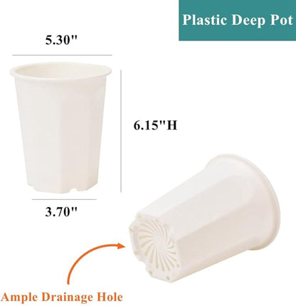 BangQiao 10 Pack 5.30 Inch White Plastic Deep Nursery Pot and Seedling Planter for Succulent, Cutting, Transplanting
