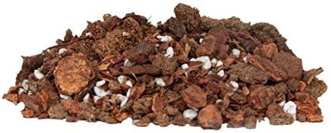 ™ Orchid Seedling Potting Mix by Waldor Orchids for Young Plants and Keiki's Contains Bark Charcoal Perlite and Coconut Husk (Cymbidium Orchid Potting Mix)