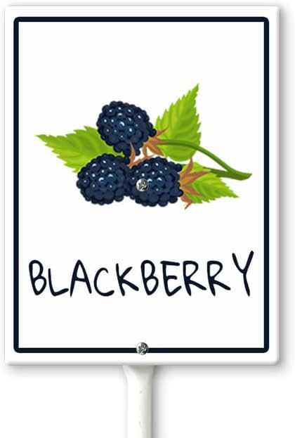 Blackberry Marker Yard Sign with Stakes 4.6in×6in, Aluminum Yard Signs, Waterproof Plant Marker Reusable Garden Stake Tags with Vegetable Names for Nursery Outdoor Garden