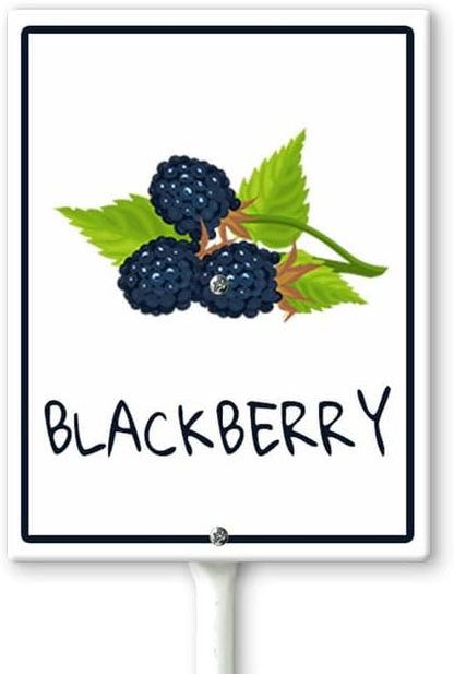 Blackberry Marker Yard Sign with Stakes 4.6in×6in, Aluminum Yard Signs, Waterproof Plant Marker Reusable Garden Stake Tags with Vegetable Names for Nursery Outdoor Garden
