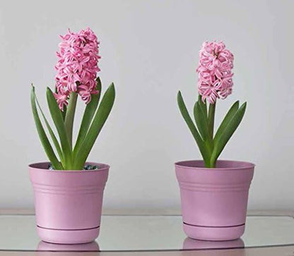 Bloem SP0512 Saturn Planter, 5-Inch, Union Red