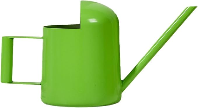 Watering Cans, 10oz/300ml Stainless Steel Long Spout Small Watering Sprinkling Pot, Indoor Outdoor Garden Flower Succulents Plant Watering Cans, Stylish Gardening Decoration(Green)