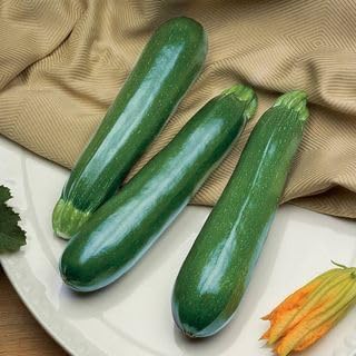 Park Seed Spineless Perfection Zucchini Squash Seeds – Crisp, Delicious Flavor with Smooth Skin, Easy-to-Harvest Plants, Reliable Yields and Vigorous Growth, Ideal for Fresh Cooking, Pack of 15