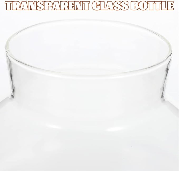 2Pcs Airtight Glass Terrarium Bottles 5.11 Inch Round Sealed Planters with Cork Lid for Succulent Plants Micro Landscape Home Decor