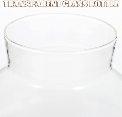 2Pcs Airtight Glass Terrarium Bottles 5.11 Inch Round Sealed Planters with Cork Lid for Succulent Plants Micro Landscape Home Decor