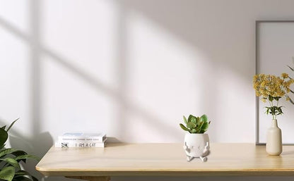 Smiling Plant Pot with Middle Fingers Up, Flower Pots for Succulents, Funny Resin Figure Planter Pot for Indoor Outdoor