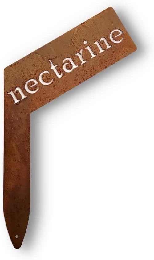 Planter Size Small Metal Garden Plant Vegetable Flower or Herb Markers 13.5 Inches Tall (nectarine, Naturally Rusted)