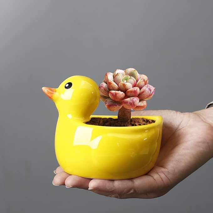 Cute Indoor Cartoon Animal Duck Shaped Ceramic Succulent Cactus Flower Plant Pots Planter with Drainage Hole - Plant Not Included (Medium)