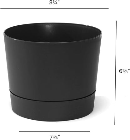 Root & Vessel Majestic Mid-Century Modern Low Profile Cylinder Pot, Matte Black, 8.5"