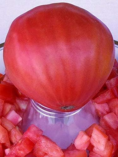 Seeds Red Beefsteak Tomato Giant Bulls Heart Determinate Non GMO Vegetable for Planting