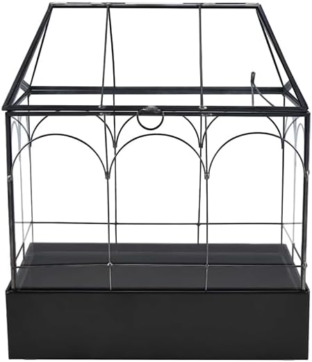 HighFree Large Glass Terrarium with Metal Tray, Glass Greenhouse Terrarium, Succulent Terrarium Kit for Succulents, Cacti, Snails, Spiders, and Miniature Reptiles, Black (Velvet Bottom)