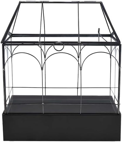 HighFree Large Glass Terrarium with Metal Tray, Glass Greenhouse Terrarium, Succulent Terrarium Kit for Succulents, Cacti, Snails, Spiders, and Miniature Reptiles, Black (Velvet Bottom)