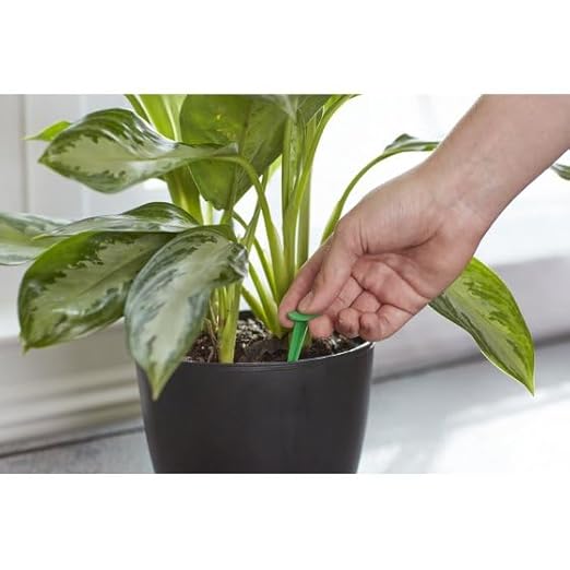 Miracles-Grows Indoor Plant Food Spikes, 48 Count, Fertilizer for Houseplants