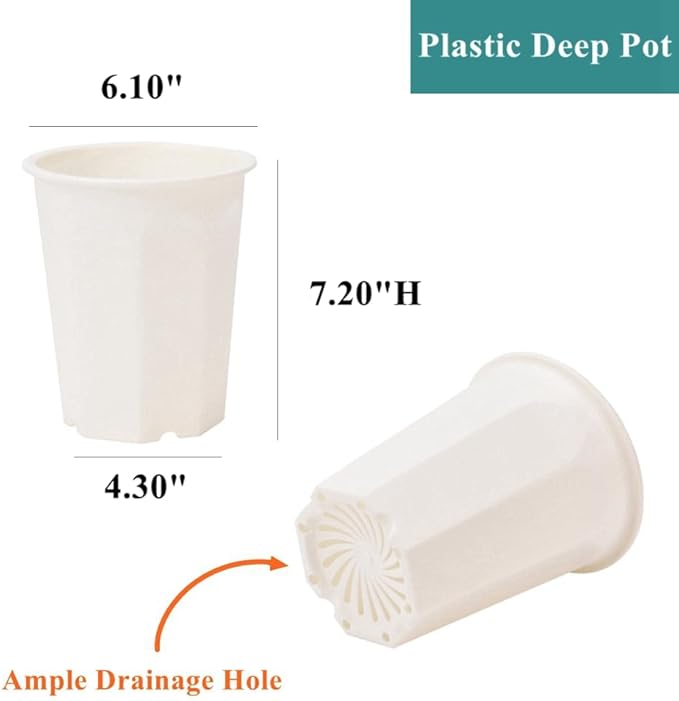 BangQiao 8 Pack 6.10 Inch White Plastic Deep Nursery Pot and Seedling Planter for Succulent, Cutting, Transplanting