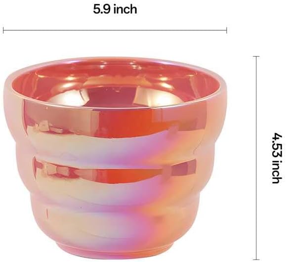 Pots for Indoor Plants, Rainbow Pearl Glaze Planters Set of 2 with Drainage Hole, 6 Inch Round Modern Pots for Flower Snakes Succulents, White and Pink